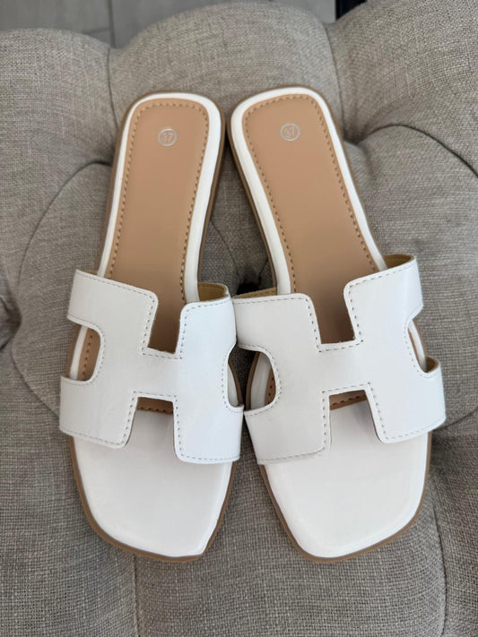 CIABATTA  ACCA XG01